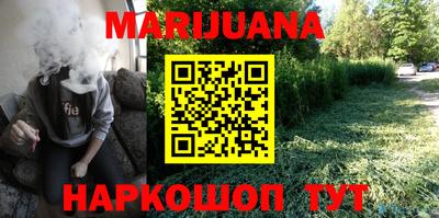 шишки Бийск