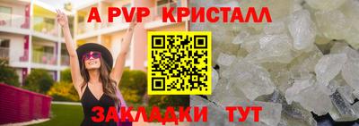шишки Бийск